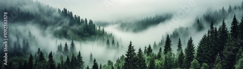 A serene misty landscape unfolds in the heart of the forest.