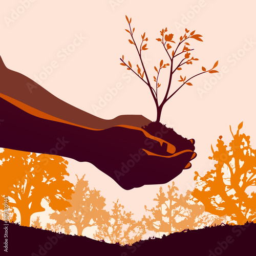 Silhouette of hand holding a small tree with nature background