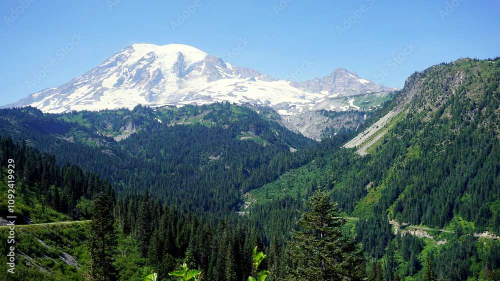 Fototapeta premium Mt. Rainier National Park Washington State