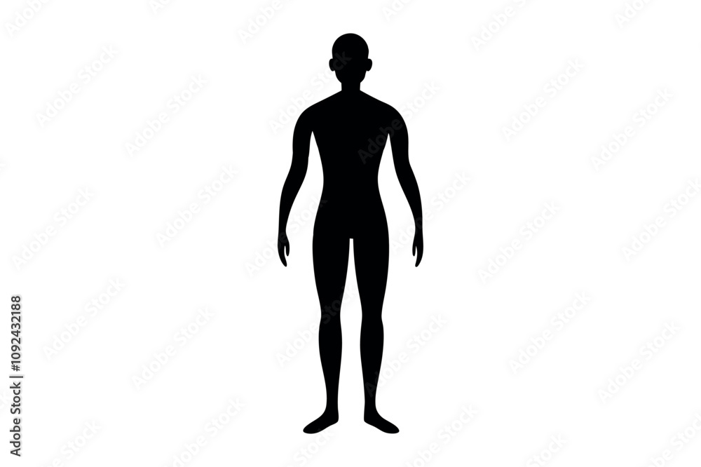Human body silhouette vector illustration with white background Human body silhouette vector illustration with white background