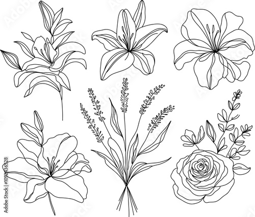  Set of elegant floral line art illustrations lilies, a rose, and a bouquet of botanical elements, drawn in minimalistic. Collection floral minimalism continuous line. 