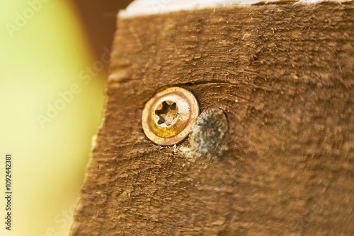 Tightening hex bolt in timber close-up for construction work photo