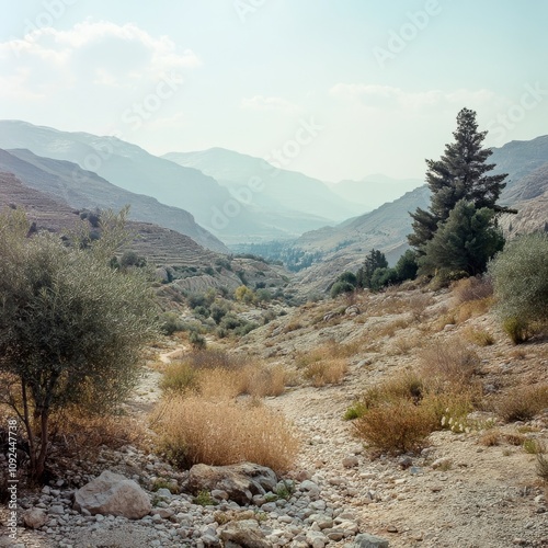 West Bank's mountainous terrain
