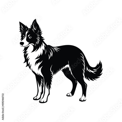 Elegant Border Collie Dog Silhouette Vector Illustration