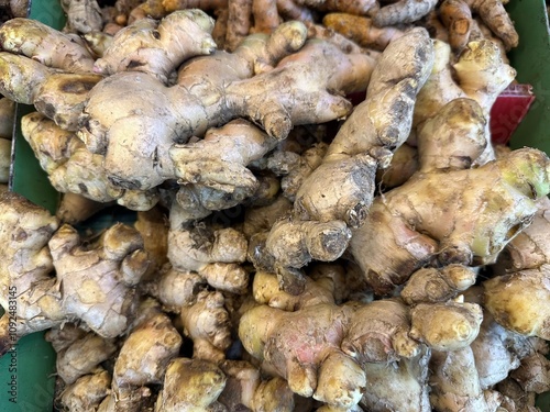 ginger