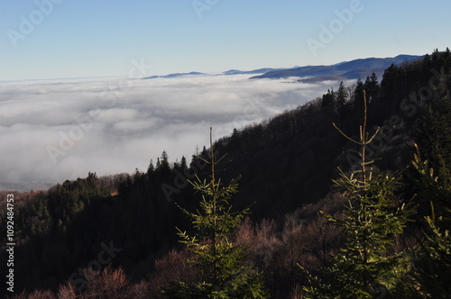 landscape with fog