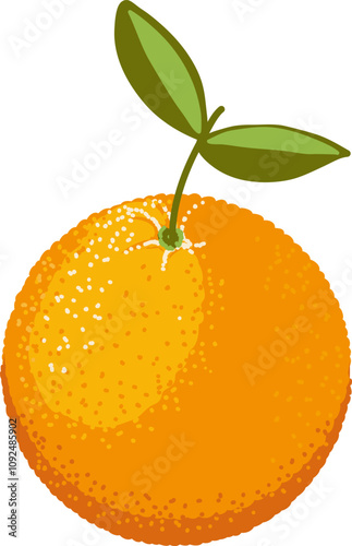 Bright illustration orange. Citrus fruit. Vector image.