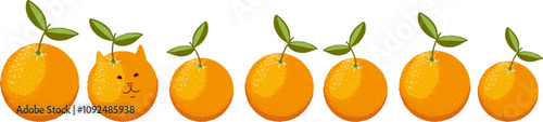 Set of ripe oranges. Ripe tangerines. Orange citrus fruits.