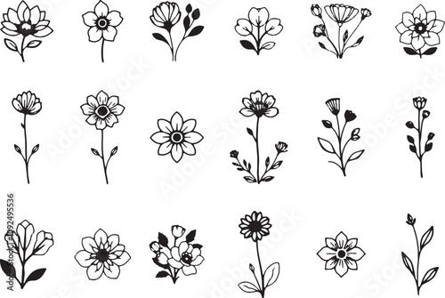 Set of wildflower black and white
