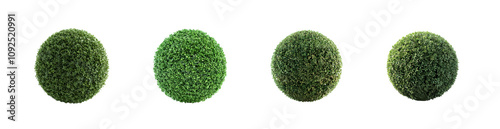 Wallpaper Mural Lush Green Bush Sphere PNG Collection Isolated on Transparent Background Torontodigital.ca