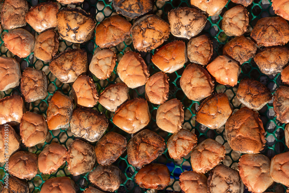 Crab shells pattern to be used as food containers.