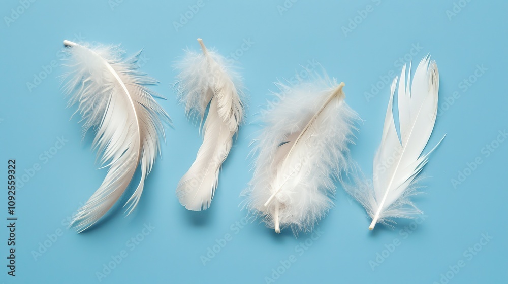 Fototapeta premium Swan Feathers on a Blue Background - a serene and elegant composition. The soft swan feathers contrast beautifully with the calming blue backdrop.