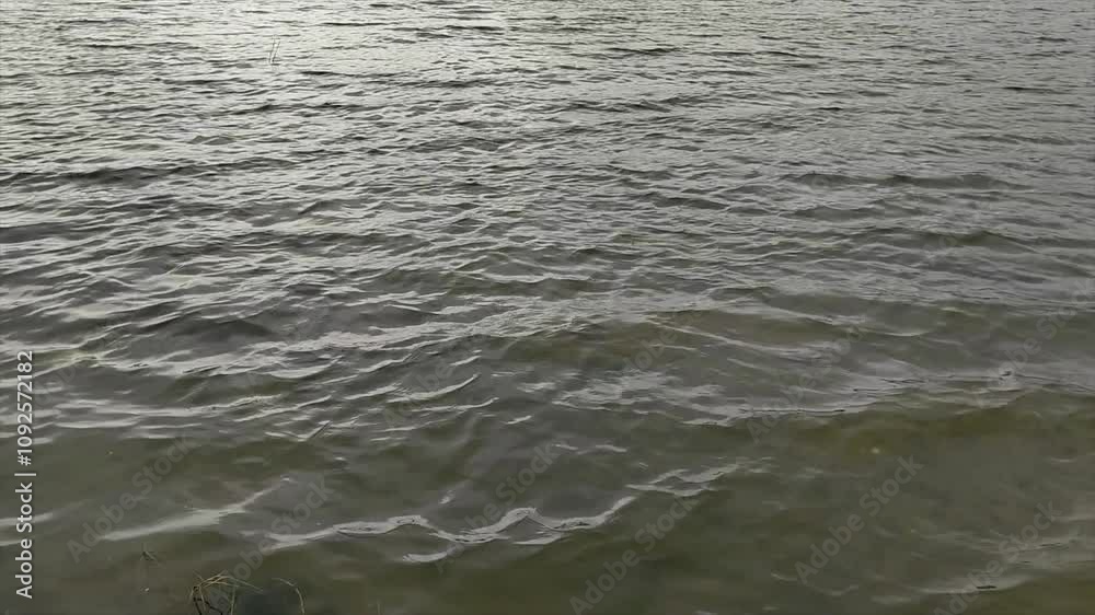 Smooth rippling water texture for calming scenes or serene natural backgrounds. Smooth rippling water texture for calming scenes or serene natural backgrounds.
