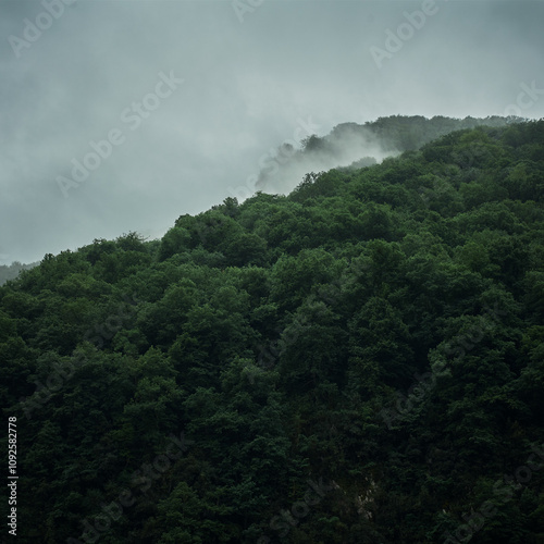 Foggy morning in the forest of Peneda Gerès, Portugal