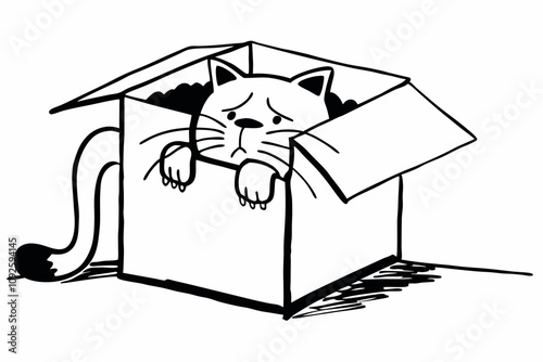 a sad cat abandoned in a cardboard box, white background,