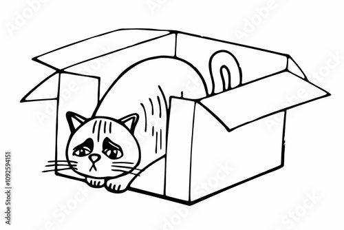 a sad cat abandoned in a cardboard box, white background,