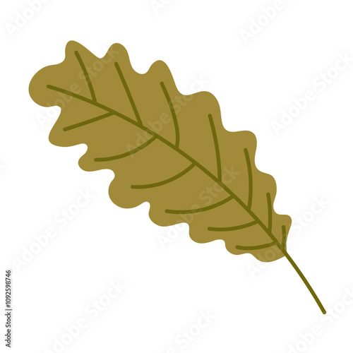 A flat illustration of a green oak leaf. herbarium, dried flower, scrapbooking. A wavy leaf from a veined tree. Shades of green. Autumn leaves for preservation. crafts