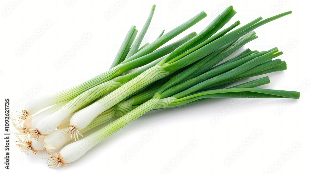 Fresh Green Onions Fresh Green Onions