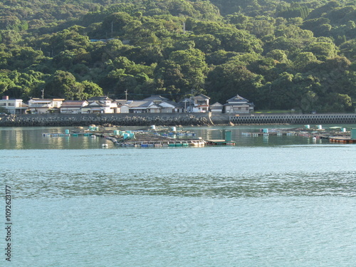 熊本県八代海の美しいで魚を養殖している養殖筏