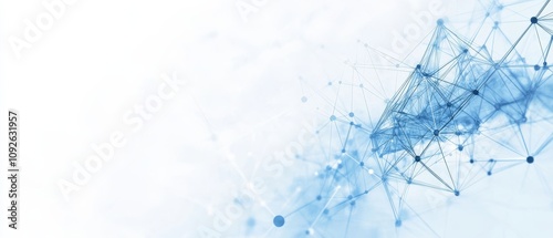This document provides an abstract presentation of the design principles related to Blue Network for comprehensive analysis and technology in the business context and its various applications