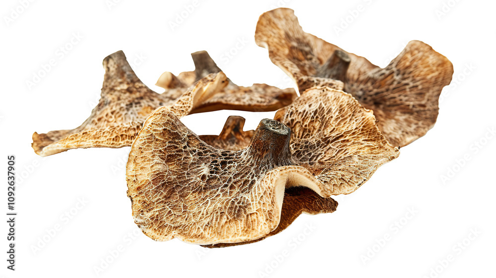 Thepla isolated on transparent background, PNG Thepla isolated on transparent background, PNG