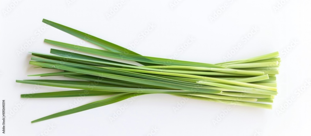 Fresh Green Lemongrass Stalks Fresh Green Lemongrass Stalks