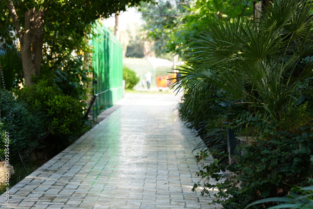Fototapeta premium path in the park