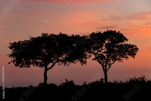 lever de soleil dans le Parc National Kruger, Afrique du Sud