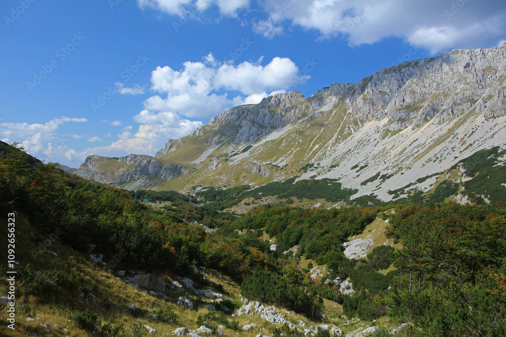 Landscape of valley in Durmitor Mountains in Montenegro Landscape of valley in Durmitor Mountains in Montenegro