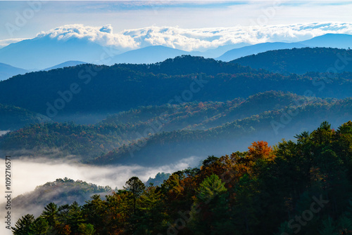 mountains in the fog