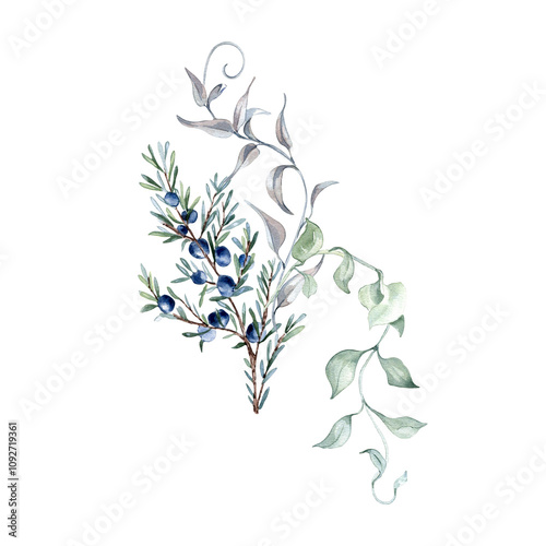 Wallpaper Mural Soft greenery arrangement of juniper branches delicate watercolor illustration isolated. Foliage of curly vine and coniferous twig hand drawn in sage green. Bunch for nature design wall art, package. Torontodigital.ca