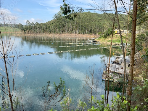 Criação de peixes na represa com fundo verde de arvores.