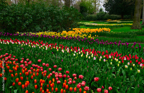 Park of blooming flowers in the Netherlands,