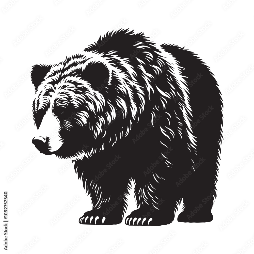 Fototapeta premium Black silhouette Grizzly Bear