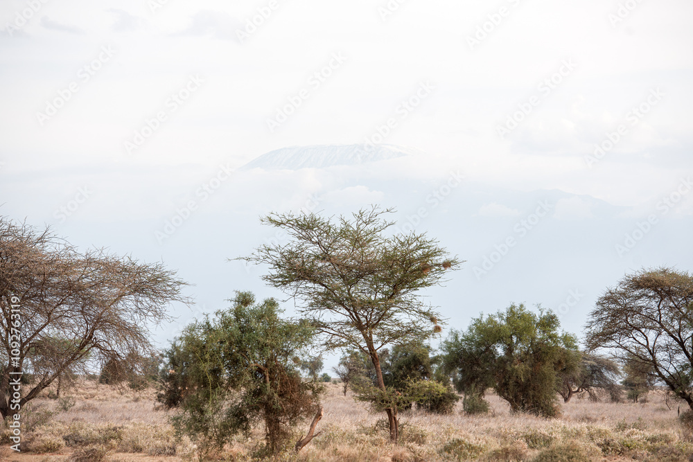 Evening atmosphere at Kilimanjaro Evening atmosphere at Kilimanjaro