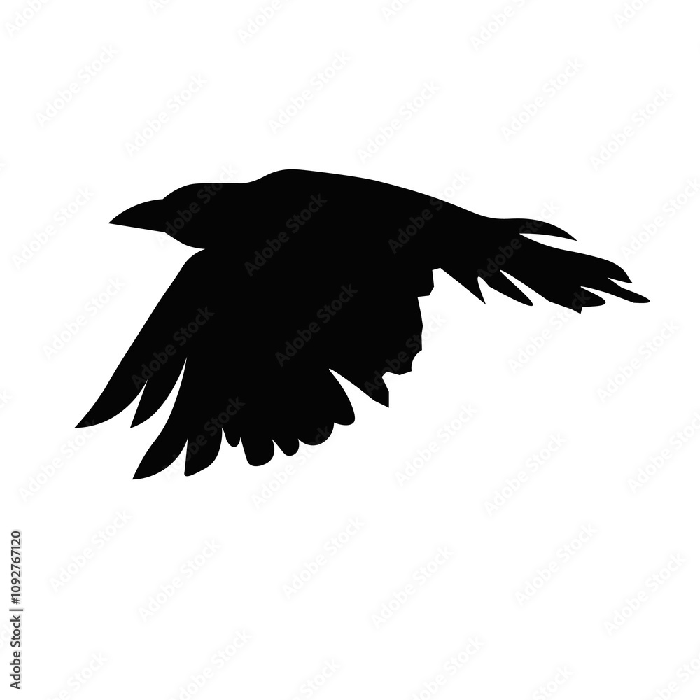 Obraz premium crow bird