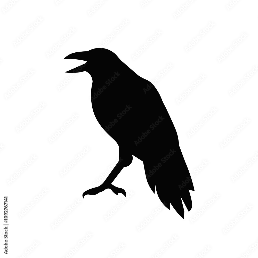 Fototapeta premium crow bird