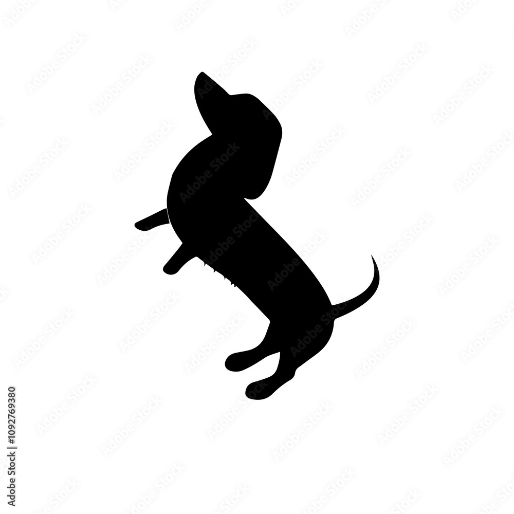 Obraz premium Dachshund Puppy Illustration 