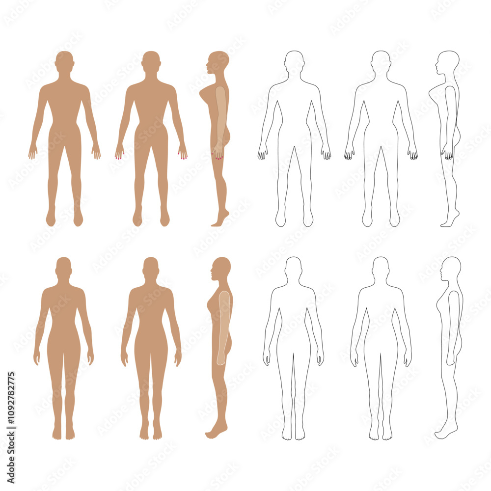 Naked standing woman bald silhouette Naked standing woman bald silhouette