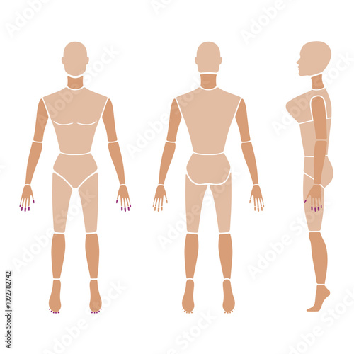 Full length front, back, side view of a lean bald standing naked woman silhouette, isolated on white background. Vector illustration. 