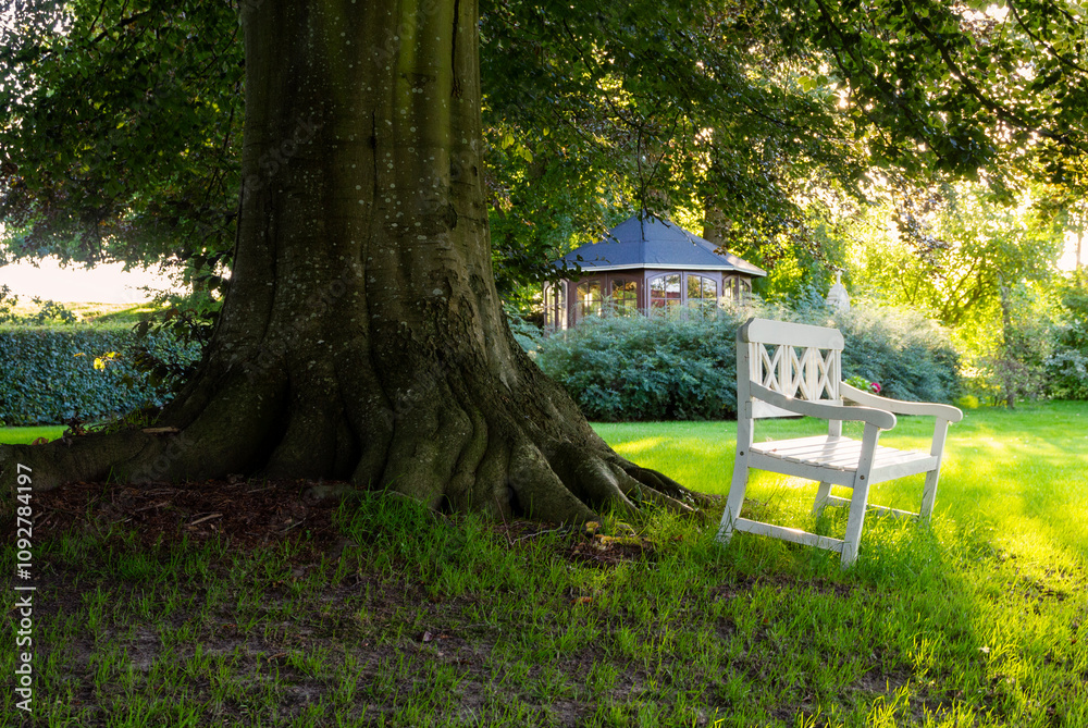 a dreamy garden in sunset with an white bench under a big deciduous tree in Bert, Denmark a dreamy garden in sunset with an white bench under a big deciduous tree in Bert, Denmark