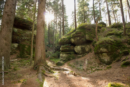 Landscape with picturesque rocks in the forest. Table mountains in Poland
