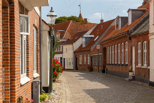 Fototapeta Naklejka Na Ścianę i Meble -  a beautiful city scape view through the small streets in the town Ribe in Denmark. With small and historic half-timbered houses in tiny alleys.