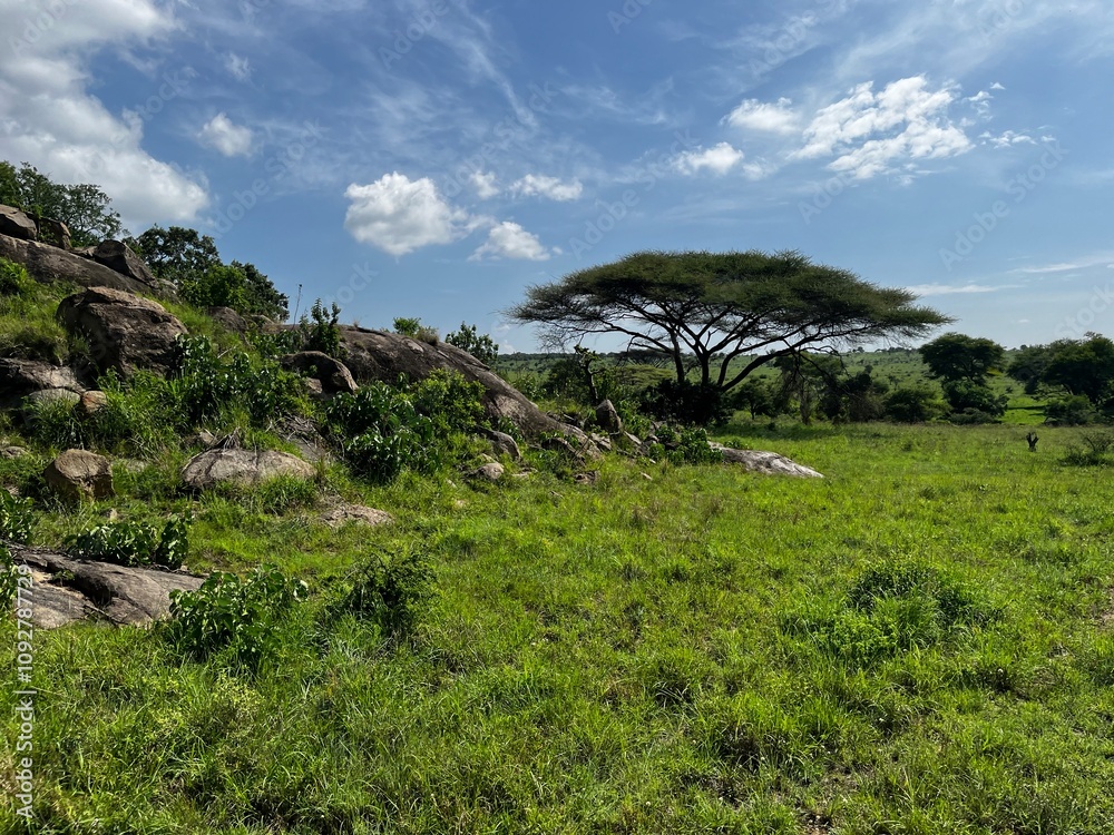 Nationalpark in Tansania 