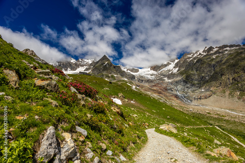 Val Veny scenic landscape in Courmayeur valley, Italy on Tour du Mont Blanc hiking route. Alps beautiful landscape, scenic view of the alpine peaks, green fields and meadow with flowers and blue sky photo