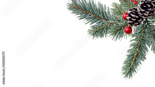 Christmas decorations featuring red ornaments and pine branches on a white ba...