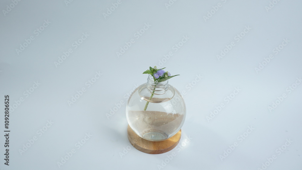 Flowers in a Clear Bottle with Water for Table Decoration Flowers in a Clear Bottle with Water for Table Decoration