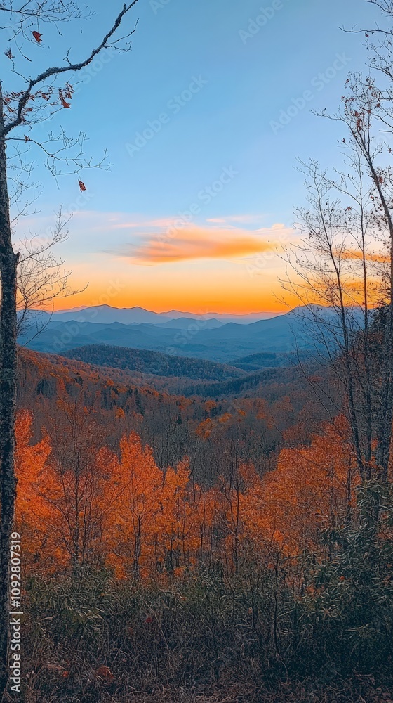 Scenic Autumn Forest View at Sunset with Mountain Range Scenic Autumn Forest View at Sunset with Mountain Range
