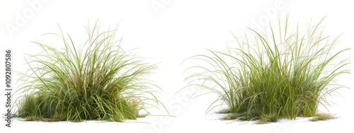 Two realistic photos of grass on a white background, taken from different angles. photo