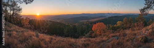 Breathtaking Autumn Forest at Sunset